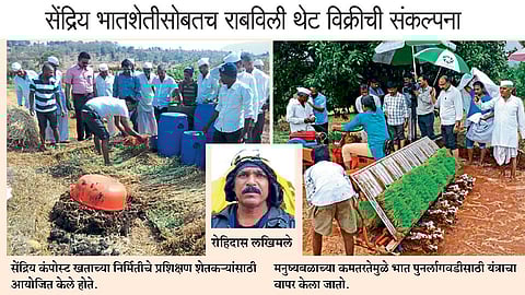 सेंद्रिय भातशेतीसोबतच राबविली थेट विक्रीची संकल्पना