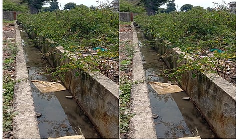 Akola News: Dengue-like disease in the mayors ward, no spraying in a month