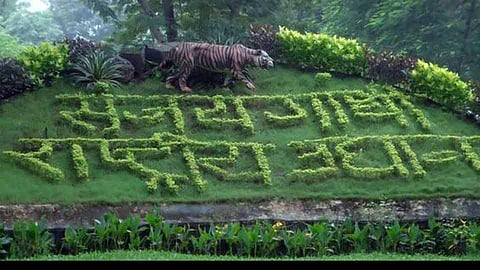 sanjay-gandhi-national-park