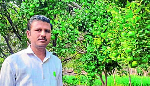 दिग्रस : संत्र्यांनी लदबदलेले झाड. सोबत युवा शेतकरी दिनेश गावंडे.