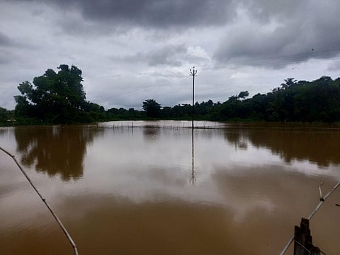 heavy rain kudal taluka konkan sindhudurg