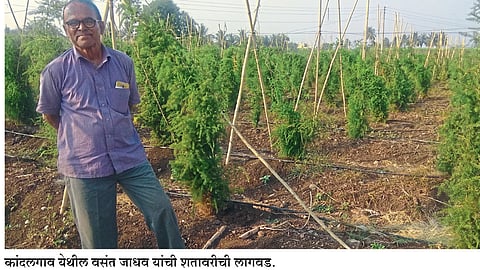 इंदापूर तालुक्यातील शेतकऱ्यांचे प्रयोग