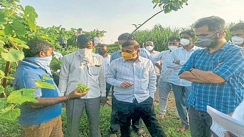 शेतकऱ्यांच्या बांधावर जाऊन पंचनामे करा, जिल्हाधिकाऱ्यांचे सक्त आदेश