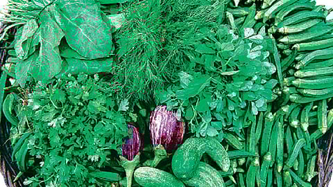 Marketing subsidy for transportation of agricultural commodities; sale of agricultural commodities in foreign markets