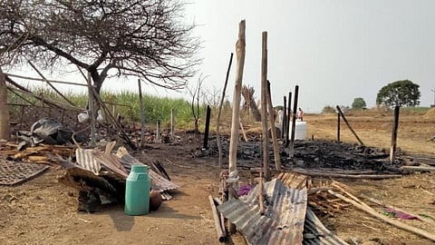 fire in cow house near shirala sangli five animals dead in fire