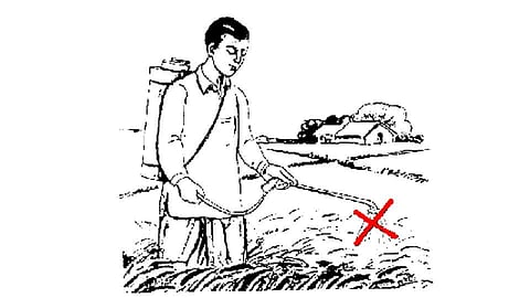 खते, कीटकनाशक दुकानदारांचा आजपासून संप