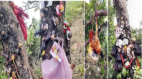 Superstitions At Mandhardev