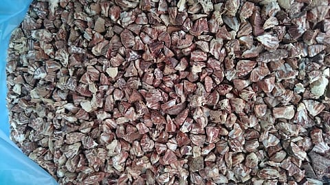 Stocks of betel nuts worth Rs 32 lakh seized
