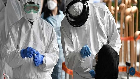 swab test.jpg