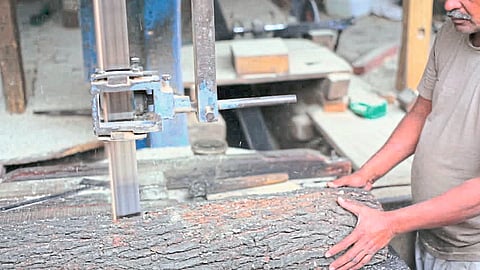 It was Wrong to Grant Licences to 50 Sawmills Admits State Panel