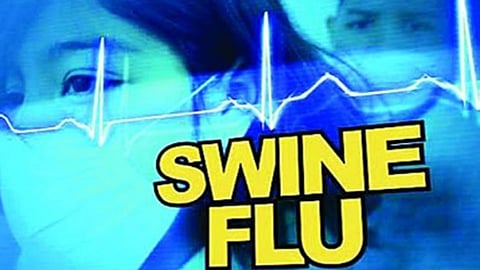 पिंपरी शहरात स्वाइन फ्लूचे आठ महिन्यांत ४१ बळी