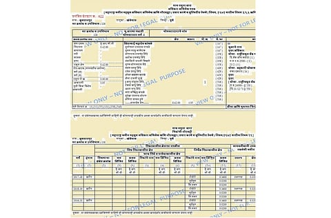तलाठी महोदयांच्या चुकीच्या दुरुस्तीसाठी तब्बल 33 वर्षांचा लढा