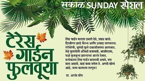 टेरेस गार्डन फुलवूया