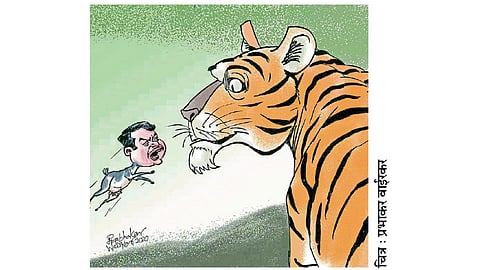 ढिंग टांग : असेल हिंमत तर..!