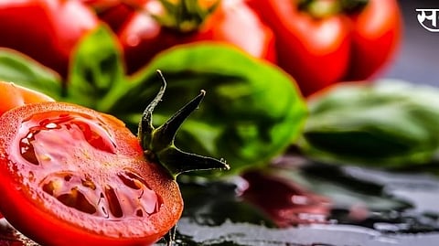 Tomato price increased Vegetable market