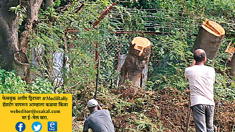 tree cutting for Narendra modi rally in SP college