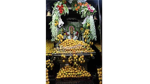 tuljabhavani temple decorate by hapus mango in tuljapur