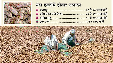 देशातील हळद उत्पादनात वाढीची शक्यता