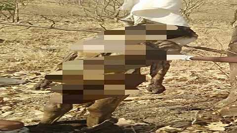 unidentifined body.jpg