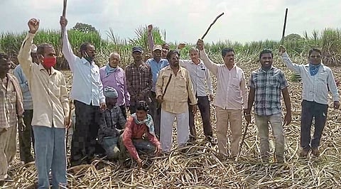Sugarcane cutting stopped by farmers' association at Waddi; Sugarcane was going to a factory in Karnataka