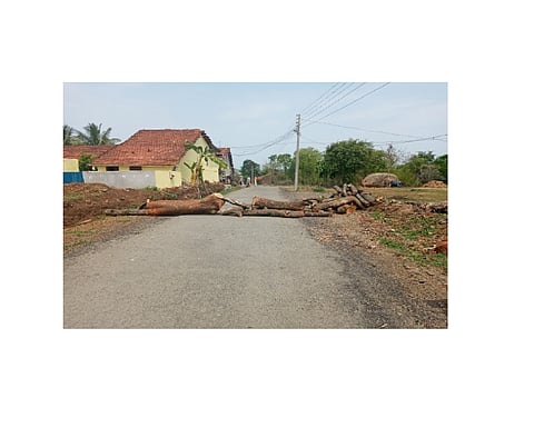 Both The Corona Report Of Halewadi In Ajara Taluka Are Positive Kolhapur Marathi News