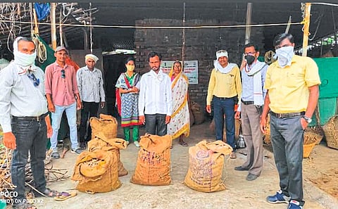 शेतकऱ्यांना हळदीच्या बियाण्याचे वितरण करताना विदर्भ नैसर्गिक शेतमाल उत्पादक कंपनीचे पदाधिकारी.