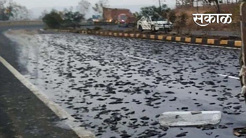 A truck carrying fish overturned in Wardha