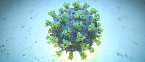 Corona Vaccine Updates