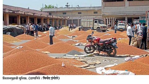 ब्रिटिशकालीन कापूस बाजारपेठ झाली सोयाबीन व्यवहाराचे ‘हब’