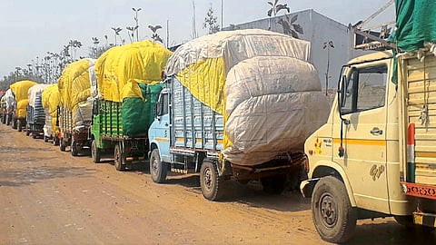 जिंतूर ः औद्योगिक वसाहतीमधील त्रिलोक कॉटनसमोर कापूस भरलेली ५० ते ६० वाहने खरेदीच्या प्रतीक्षेत उभी आहेत.