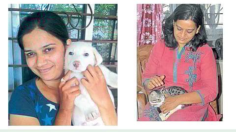 मुक्या प्राण्यांना आसरा देणाऱ्या जाधव भगिनी