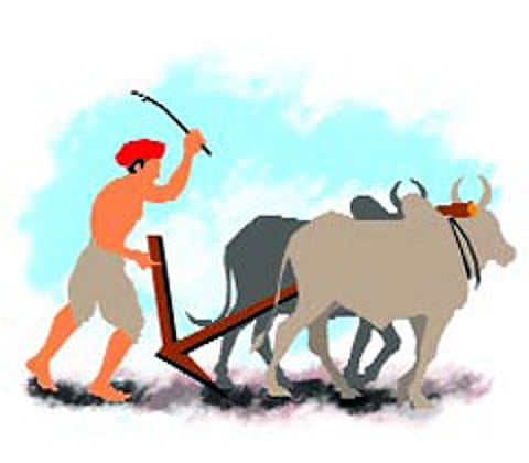 farmer