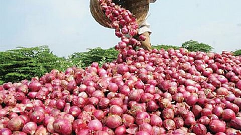 15-Onion.jpg