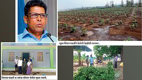 प्रयोगशील पाडवी यांनी फुलविली  डोंगराळ भागात केळीची बाग