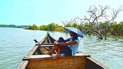 मुंबईतील नद्यांमध्ये पुन्हा जलसृष्टी बहरणार; नद्याचा पर्यटन केंद्र म्हणून विकास होणार