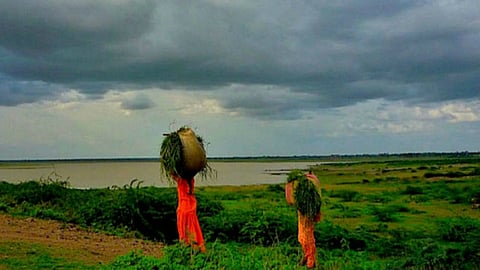 रायगडमध्ये अतिवृष्टीची शक्यता; नागरिकांना सतर्क राहण्याचे जिल्हाधिकाऱ्यांचे आवाहन