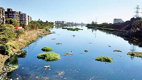 मिठी नदीवर पादचारी झुलता पूल; तसेच पुलावर पारदर्शी काचा बसविण्याचा मानस