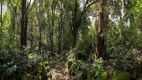 खासगी जमिनींवरील वनसंज्ञेविरोधात शेतकरी एकवटले; शेरा काढण्यासाठी सनदशीर मार्गाने लढा देण्यास सुरुवात