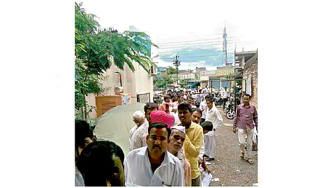 पीकविम्यासाठी पाच ऑगस्टपर्यंत मुदतवाढ