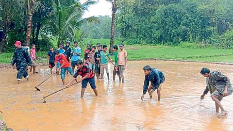 शाळेच्या पडीक जमिनीत विद्यार्थ्यांनी केली भातशेती