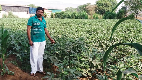 भेंडीच्या उत्पादनात सचिनची ‘सेंच्युरी’