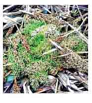 अडीच लाख शेतकऱ्यांना नुकसानीचे 57 कोटी वाटप