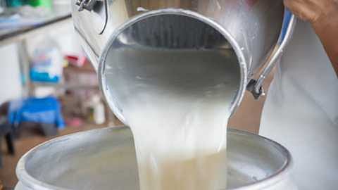 Milk production becomes expensive