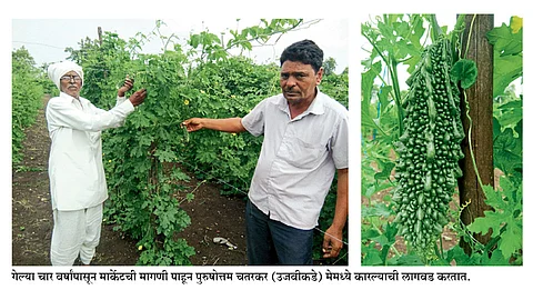 माजी सरपंच पूर्ण वेळ झाले प्रयोगशील शेतकरी