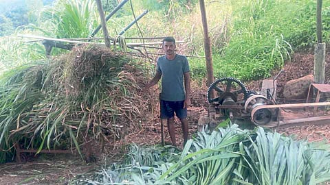 Farmer Built Mini Train To fetch Fodder For Animals