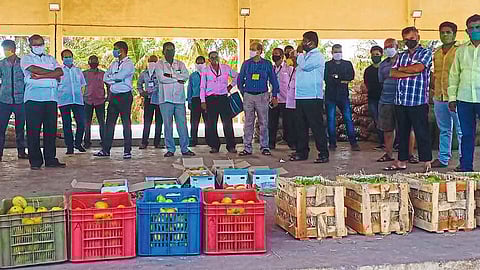 Five Dozen Mango Box In Ratnagiri At 1700