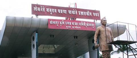 apmc solapur
