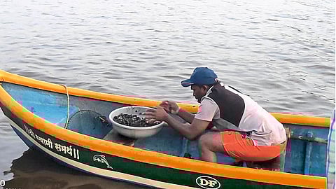 Abandant Shimplya Found On Vashisti Khadi After 15 Years