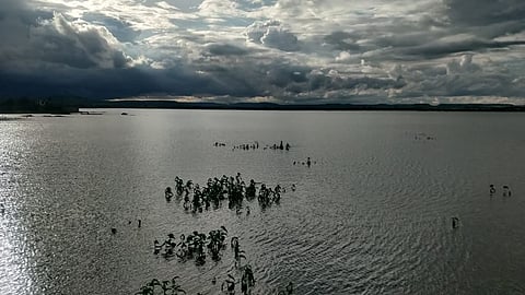 बदनापूर : सोमठाणा येथील प्रकल्पातील जलसाठा.