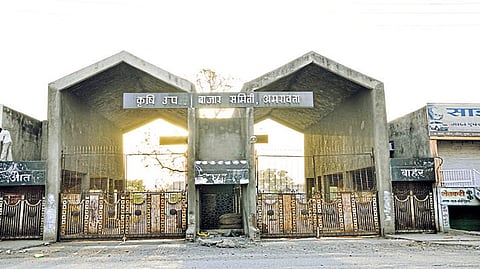 Collector announced new policy for vegetable selling